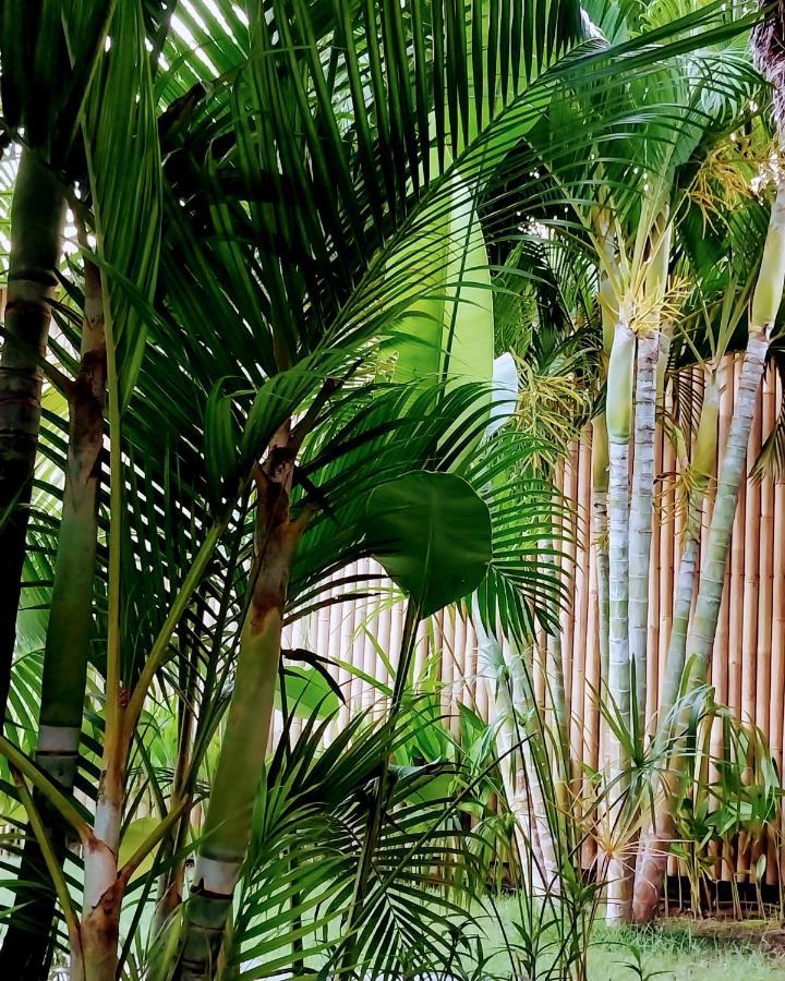 Manusia Dunia Green Lodge Gili Air Bagian luar foto