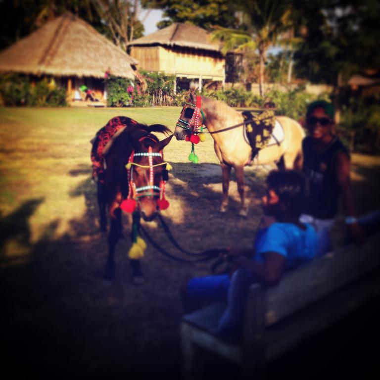 Manusia Dunia Green Lodge Gili Air Bagian luar foto